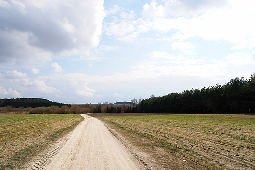 Polna droga. Karsznice