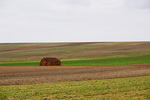 Pola w Karsznicach