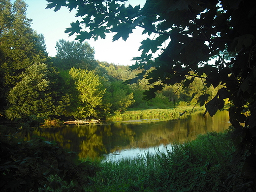 Kosewko. Wieczorem nad Wkr.