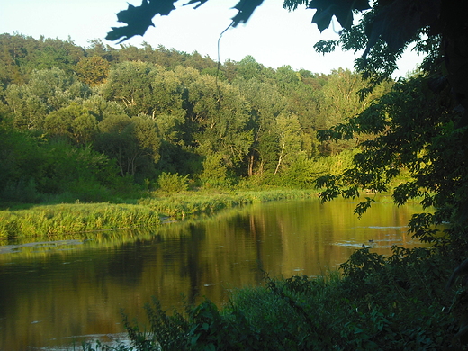 Kosewko. Wieczorem nad Wkr.