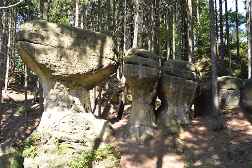 Gorzeszw - Gazy Krasnoludkw