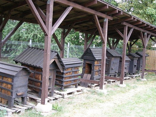 Skansen i Muzeum Pszczelarstwa im. prof. Ryszarda Kosteckiego w Swarzdzu