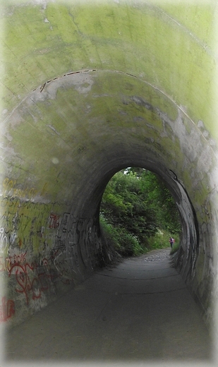 Tunel pod drog w Wwozie Chapowskim