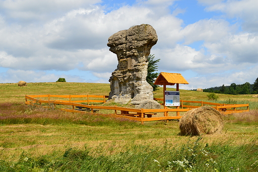 Gorzeszw - Diabelska Maczuga