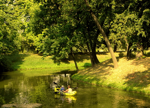 w zamojskim parku