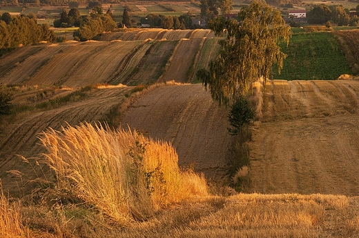 Roztocze. Antoniwka. Preludium jesieni