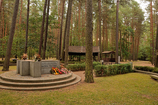 Pomnik Litewskich lotnikw, Pszczelnik.