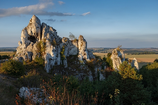 Gra Janowskiego, Podzamcze