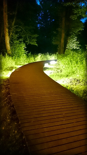 W parku w Wejherowie noc