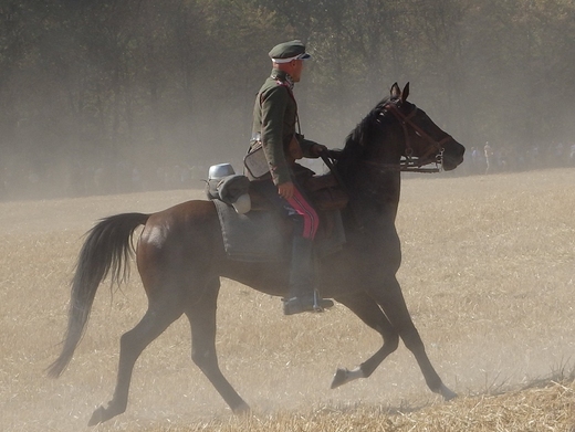 95 rocznica Bitwy pod Komarowem