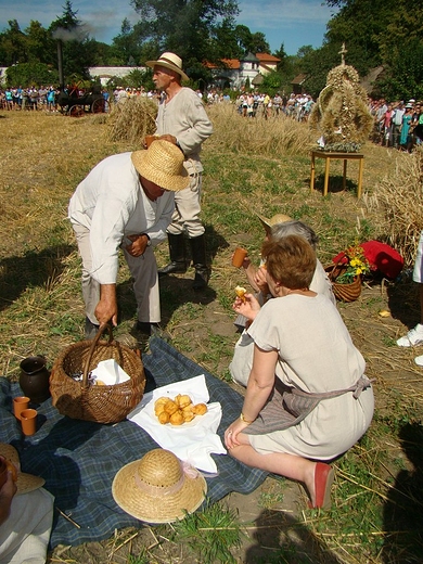 Podlaskie wito Chleba