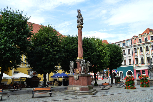 widnica - Kolumna witej Trjcy