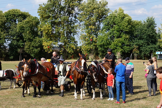 Zabrzaskie Doynki 2015.