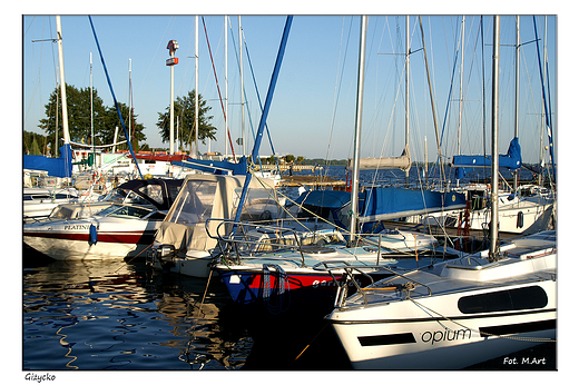 Giycko - port