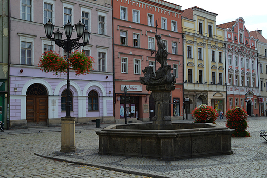 widnica  - Neptun na Rynku