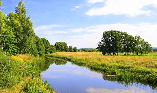 Rzeka eba