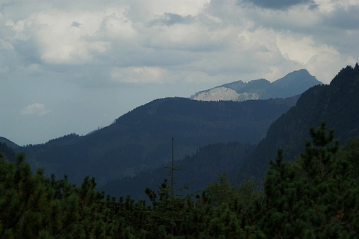 tatry