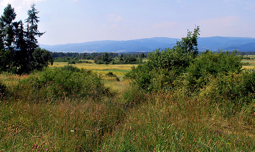 Rezerwat przyrody Przeom Biaki pod Krempachami Widok z rezerwatu na Gorce.