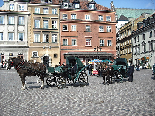 Warszawa. Doroki na Placu Zamkowym