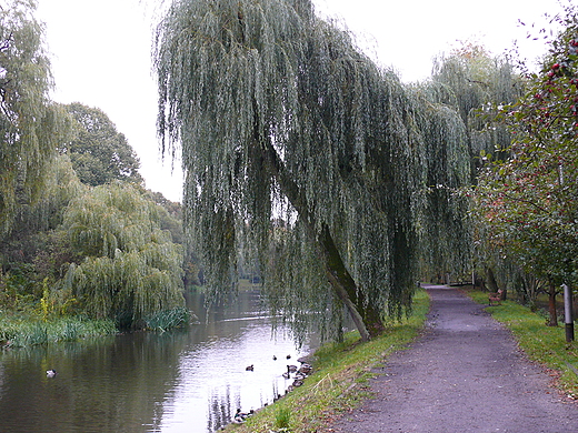 Park Ksit Pomorskich w Koszalinie