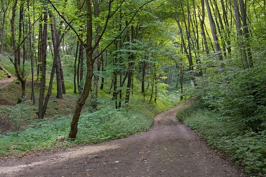 Ojcowski Park Narodowy