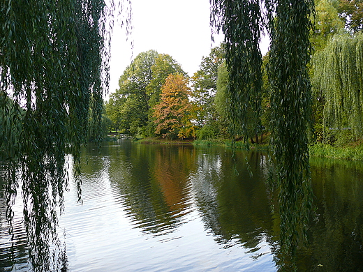 Park Ksit Pomorskich w Koszalinie