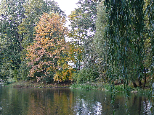 Park Ksit Pomorskich w Koszalinie