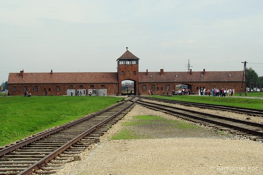 Birkenau II