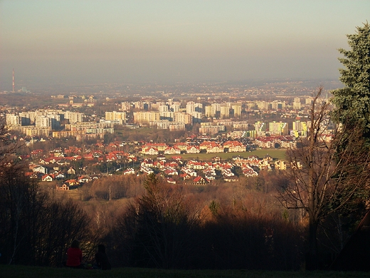 Bielsko-Biaa widok z Dbowca