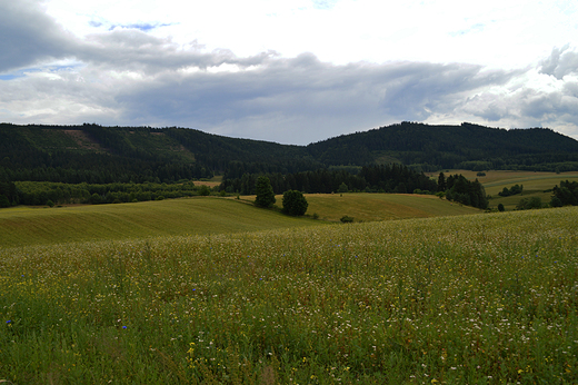 Chemsko lskie - Sudeckie krajobrazy