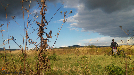 Widok na gr domow eromskiego - Radostow