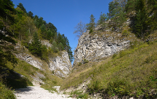 Wwz Szopczaski.