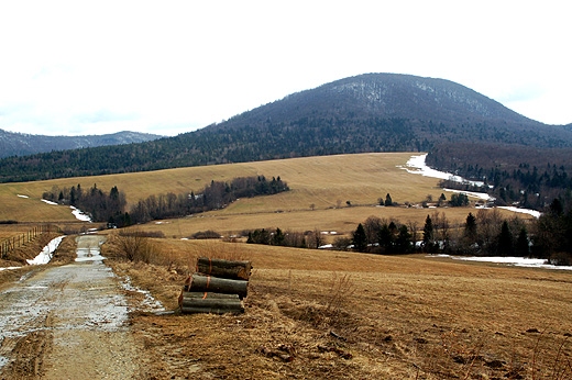 Lackowa widziana z drogi prowadzcej z Mochanczki Ninej do Izb. Beskid Niski