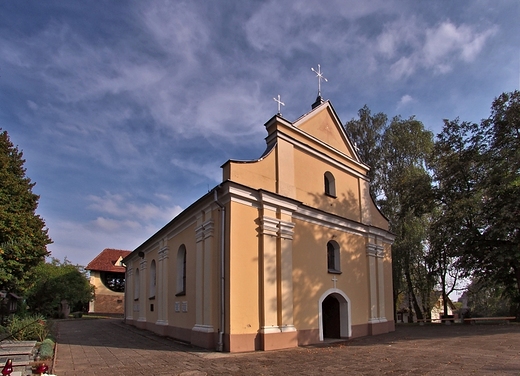 Ronowo - prawdziwe dzieje Skrzetuskiego i dwa inne yciorysy.