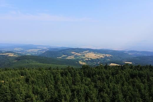 Widok z Gry Sowiej