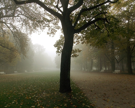 Warszawa. Jesie w azienkach.