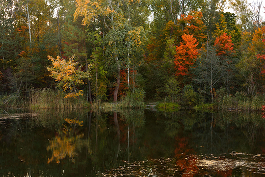 Barwy jesieni.