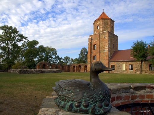 Zamek w Toszku - baszta