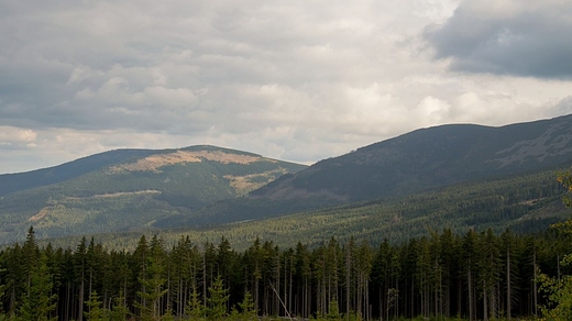 Widok na Karkonosze schodzc z Samotni nad Maym Stawem do Karpacza