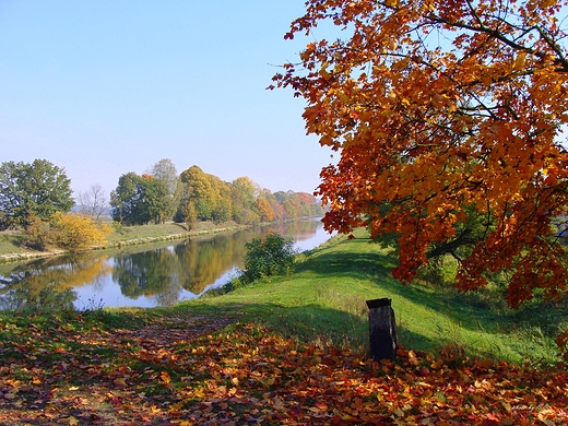 jesie nad kanaem gliwickim