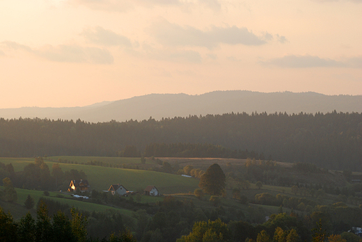 Lutowiska