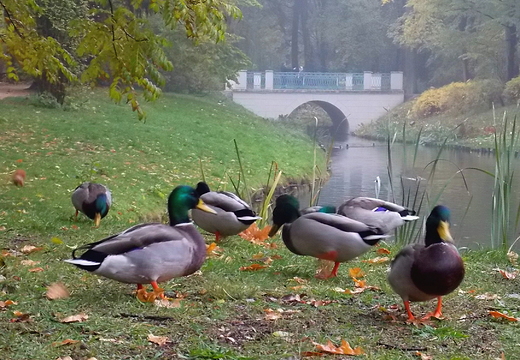 Warszawa. Sobota w azienkach.