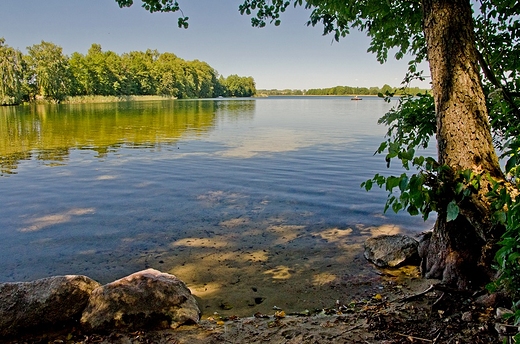 Jezioro Dugie Krasnopolskie.