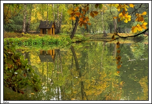 Kalisz - w jesiennej szacie ... nad stawem zwanym Kogutkiem