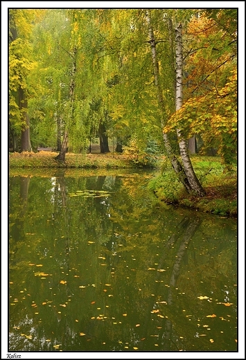 Kalisz - w jesiennej szacie ... nad stawem zwanym Kogutkiem