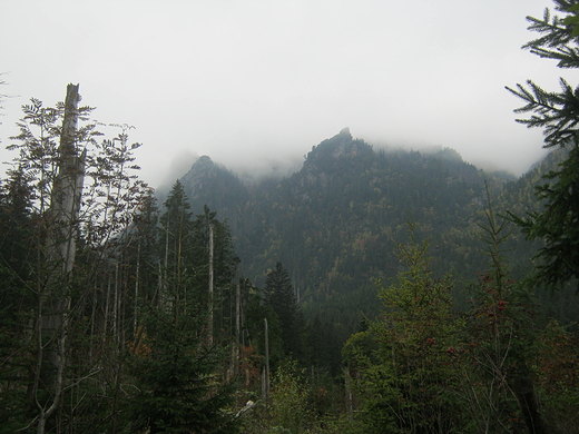 Tatry