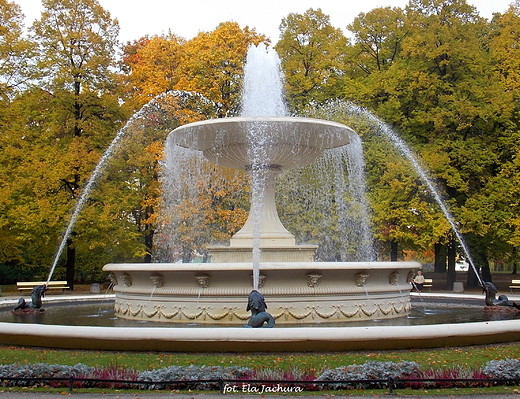 Warszawa. Fontanna w Ogrodzie Saskim.