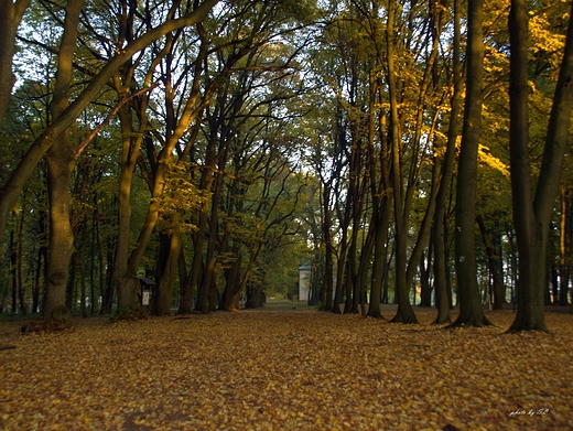 szlak kalwaryjski