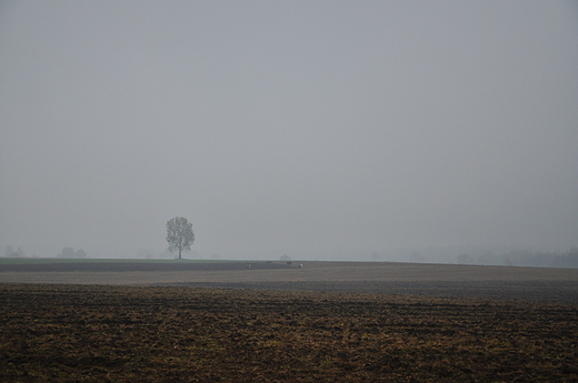 Zamglone Mazury