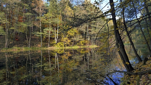 Jesie nad Centuri